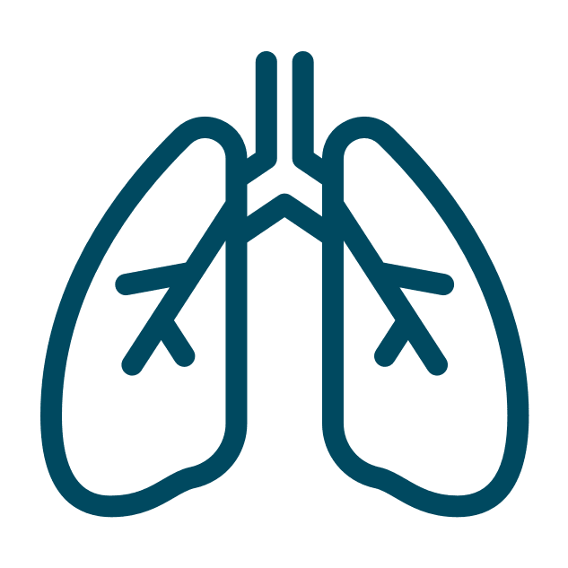 logo-lung-m
